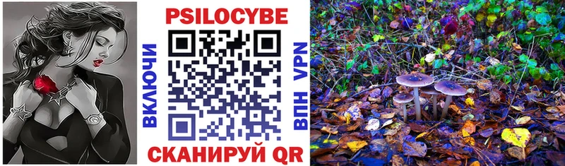 как найти закладки  Мичуринск  Псилоцибиновые грибы Magic Shrooms 